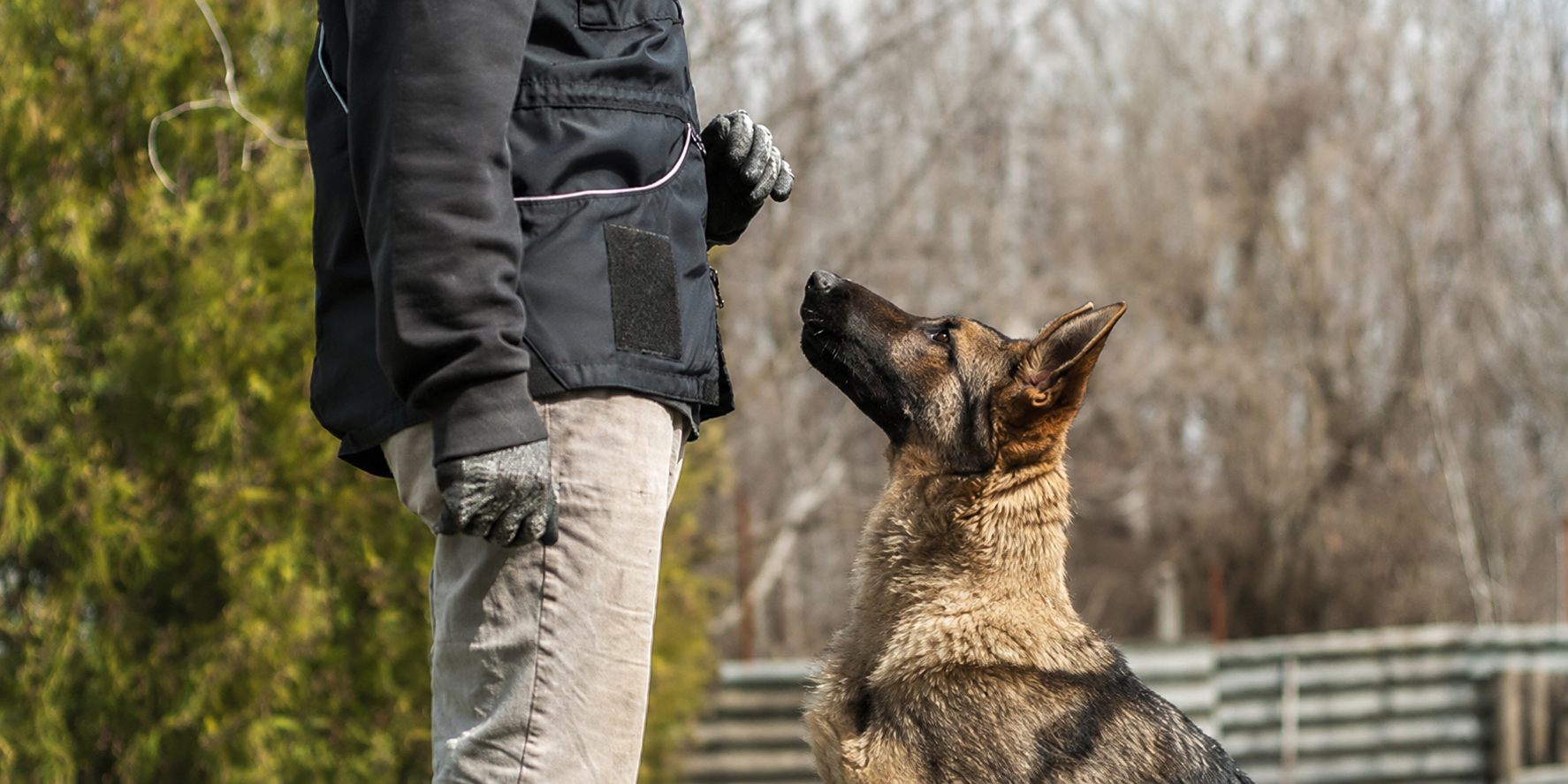 Chien et son maître